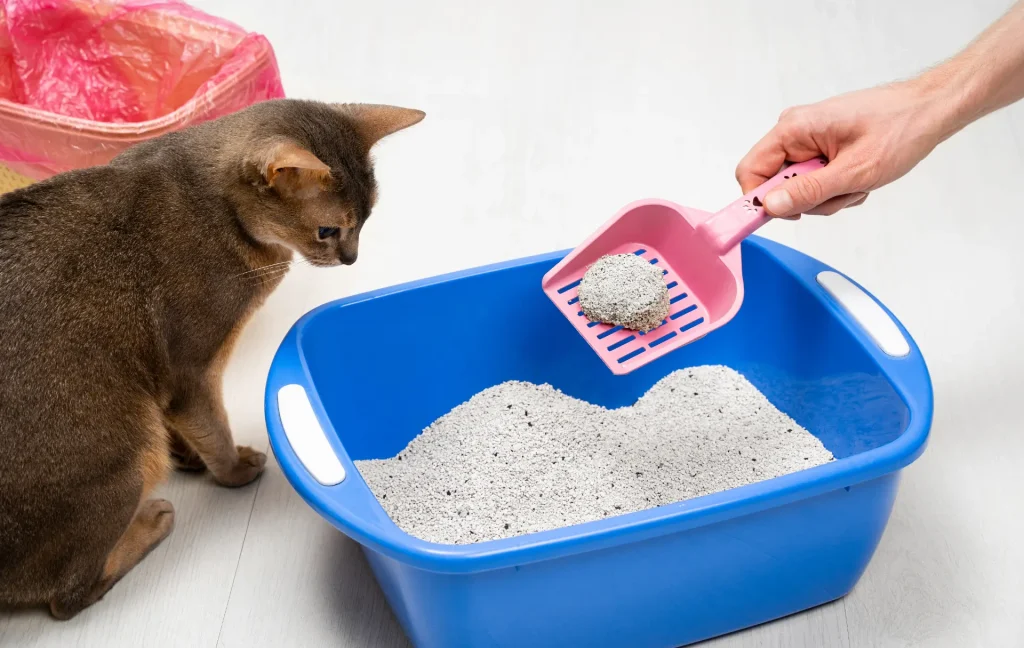 Product Development for Pets