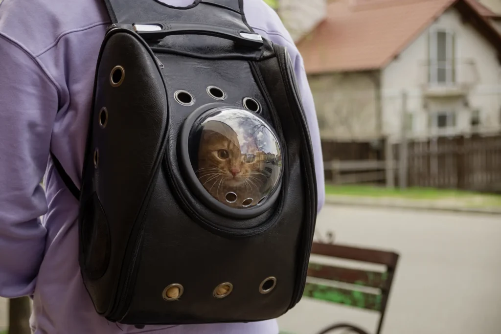 Innovative backpack