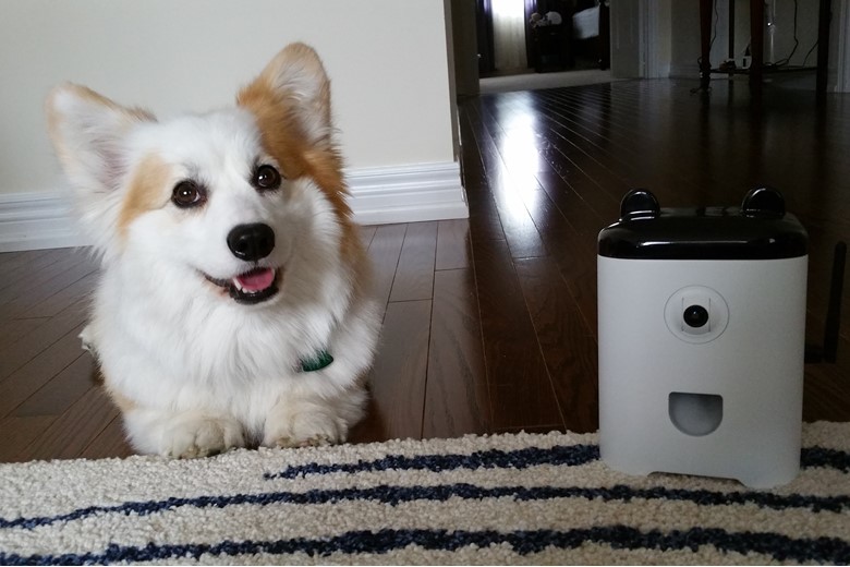Puppy and PetBot