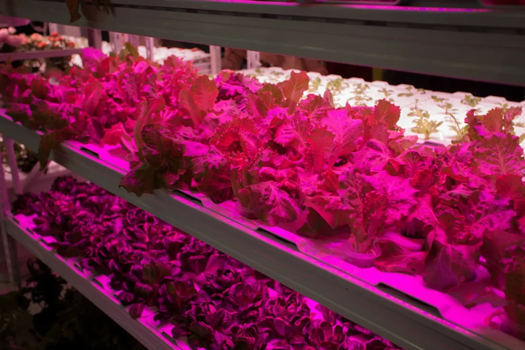 Vertical farming