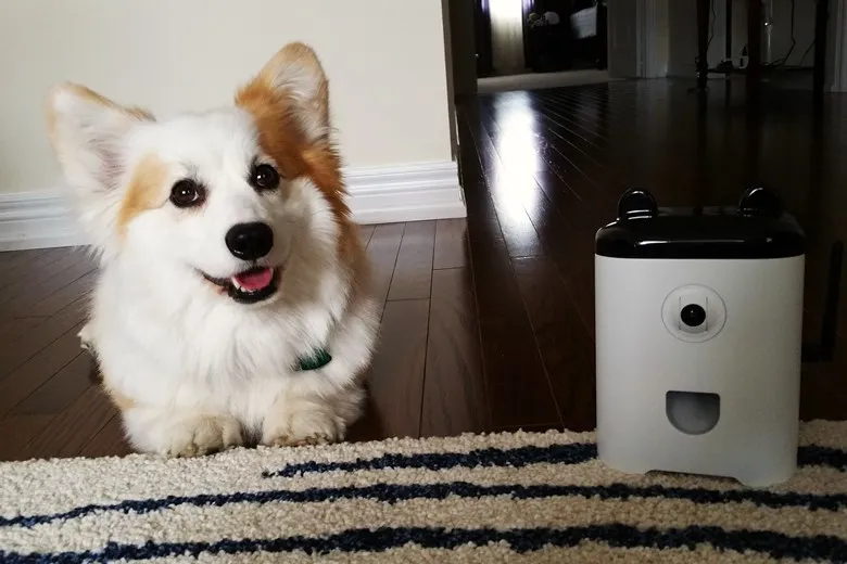 The PetBot Launched Their Indiegogo Campaign 1 Our pet invention design firm's client, PetBot.
